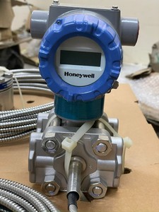STR700/STR73D SmartLine Joint d'étanchéité à diaphragme à bride à distance en acier 316L, étanchéité IP68, haute précision - Product Image 2