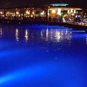 IP68 a prueba de agua 36W LED <span class=keywords><strong>Luces</strong></span> de <span class=keywords><strong>piscina</strong></span> empotradas Tipo enterrado 12V 24V Luz de natación subacuática Cuerpo de acero inoxidable para hoteles - Product Image 3