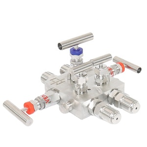 Easy In-Process Calibration 305 Coplanar Style 5 Ways Manifold - Product Image 2