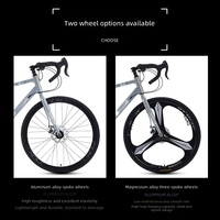 Vélo de montagne personnalisé en usine à 24 vitesses, 29 pouces, en alliage haute teneur en carbone, pour étudiants et activités de plein air