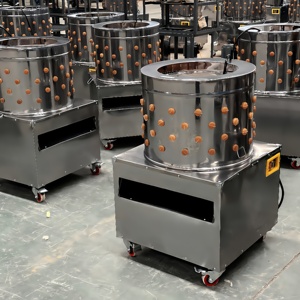 Nouvel équipement <span class=keywords><strong>d</strong></span>'abattage et <span class=keywords><strong>de</strong></span> plumeuse industriel compact pour poulets et cailles, 220V, composants en acier, moteur à roulement pour volailles - Product Image 1