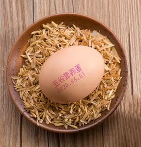 Nhà máy-thành lập tij máy in với 6 đầu in dễ dàng trứng đánh dấu máy cho mã hóa trứng trứng ngày máy in Máy in - Product Image 6