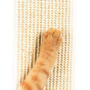 Slimme Kat De Ultieme Krabpaal, Kat Krabpaal, Kras Berichten Katten - Product Image 3