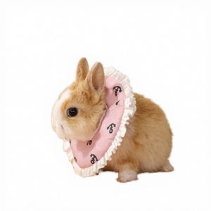 Collier Élizabetain Personnalisé en Coton à Motif Pois et Dentelle Élégante pour Petits Animaux, Idéal pour Empêcher de Lécher les Plaies chez les Cochonets de Guinée - Product Image 2