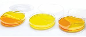 ETRI ish erial aterial olyolypropylens etretri Dish con ajuste prueba excelente para cultivo etrlos platos ETRI son cilíndricos poco profundos - Product Image 5