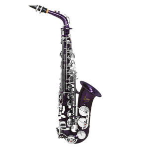 SLADEアルトサックスEbキー真鍮ボディカービングホワイトシェルキーパープルシルバースプリングケース付きOEM - Product Image 2