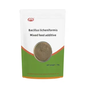 سلالات نشطة عالية الجودة من البكتيروسات الغذائية البروبيوتيكية Bacillus licheniformis للحفاظ على البيئة الدقيقة في الأعضاء