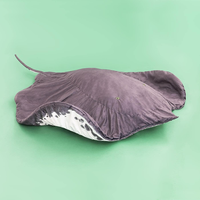 Décor à la maison en peluche diable poisson Ray couverture doux Manta tapis de sol tapis 50 pouces câlin oreiller Camp bureau trucs jouet Animal en peluche jouet