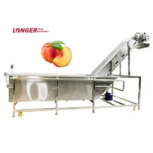 Vegetable Wash Line Sugarcane Papaya Washing Peach Washing Machine