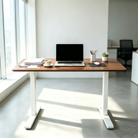 Bureau debout ergonomique électrique à hauteur réglable avec logo personnalisé, certifié RoHS CE, pour usage professionnel