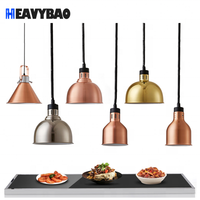 Lampes chauffantes pour aliments, dispositif électrique à infrarouge, en acier inoxydable, idéal pour Station Buffet