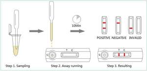 Быстрый тест для домашних животных, ранний релаксин для беременных, набор rln для заводчиков собак и кошек - Product Image 4