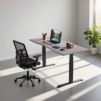 Bureau debout électrique ergonomique Bureau assis debout Double moteur Hauteur réglable Bureau à domicile Utilisation de bureau Clavier programmable