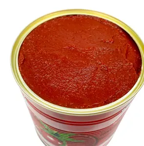 O OEM enlatou a pasta do tomate com preço barato no cilindro maioria/lata