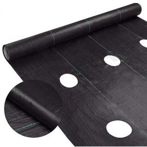 Película de mantillo de plástico negro, cubierta de suelo agrícola, tela antihierba con agujeros - Product Image 2