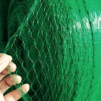 Filet de protection invisible vert en HDPE contre les oiseaux, filet de capture d'oiseaux pour l'agriculture