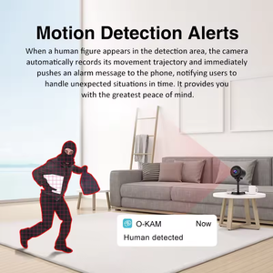 CB76-<span class=keywords><strong>2</strong></span> kamera Mini nirkabel WiFi, kamera Mini jaringan WiFi untuk keamanan rumah dengan koneksi Bluetooth - Product Image 5