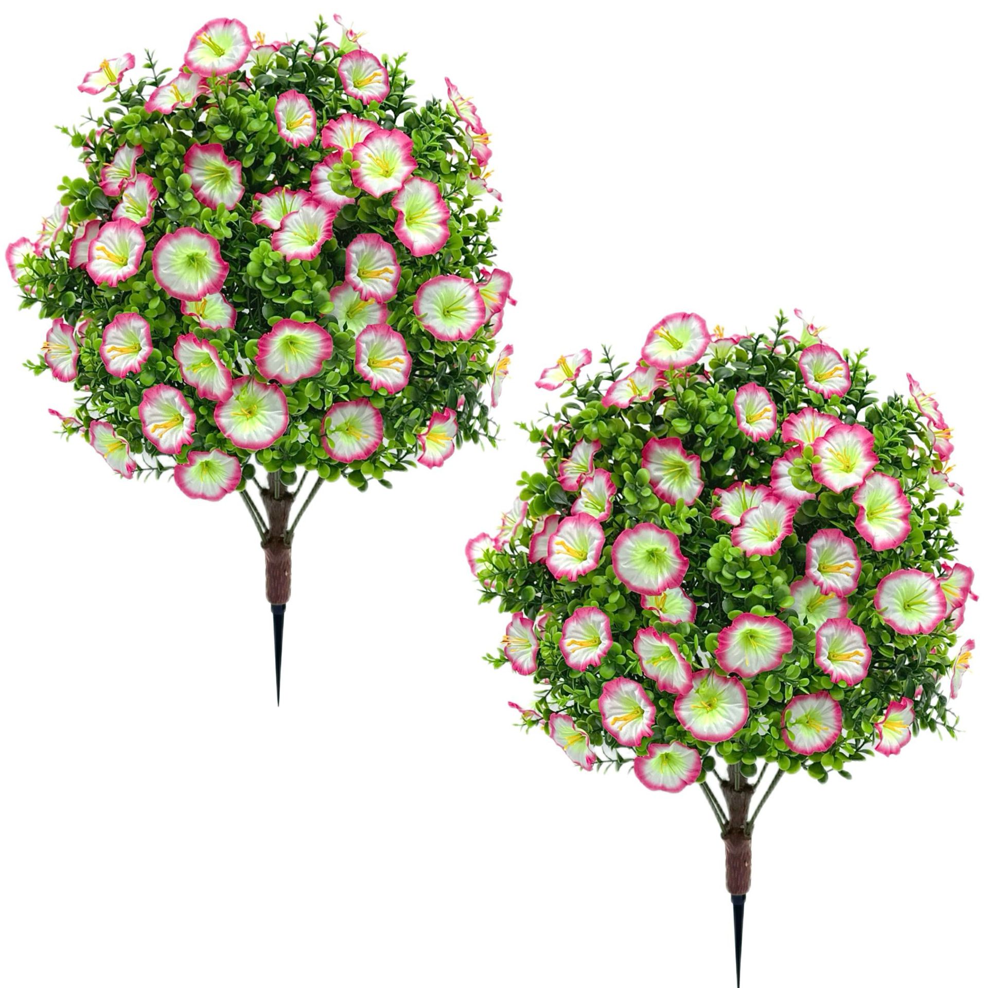 Petunia pink