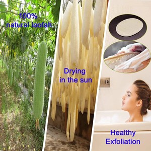 MHK62ฟองน้ำใยบวบธรรมชาติฉลากส่วนตัว100% - Product Image 6