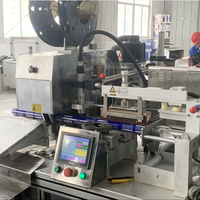 Machine de remplissage et d'emballage automatique pour adhésifs à haute viscosité, silicone et produits de scellement en saucisses