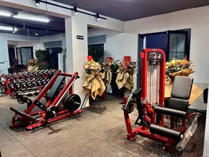 SK Meilleur Prix Équipement de Fitness Professionnel pour Salle de Sport, Machine à Poids pour Entraînement de Force, Extension des Jambes et Développement Musculaire - Product Image 2