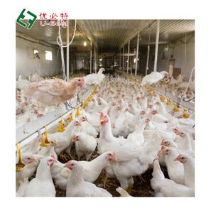 Bonne vente Mangeoires et abreuvoirs automatiques pour poulets de ferme/<span class=keywords><strong>maison</strong></span>/poulailler Matériel d'élevage de volailles - Product Image 5