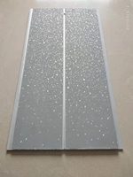 Panel de techo de fábrica Tablero de techo de Pvc de transferencia de 250mm de ancho Ranura media blanca