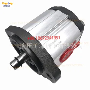 Pompa a Ingranaggi MARZOCCHI GHP1A-<span class=keywords><strong>D</strong></span>-2-FG / GHP2A-<span class=keywords><strong>D</strong></span>-6-FG ad Alta Pressione, Originale dall'<span class=keywords><strong>Italia</strong></span> / Può Essere Utilizzata Come Sostituto - Product Image 5