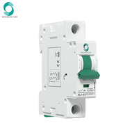 Disjoncteur miniature solaire PV DC TUV IEC CB CE XL7 6KA 1P 250V 10A 16A 20A 25A 32A 40A 50A 63A