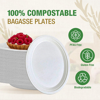 Assiette jetable blanche écologique de 6 pouces, résistante, anti-graisse, en bagasse de canne à sucre, compostable, pour plats à emporter et fêtes