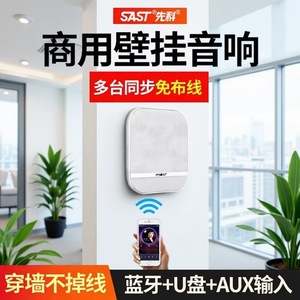 SAST C12 Wireless Wall Mounted Speaker <b>70</b>-134W Stereo Output For Restaurants Conferences Gyms Shops - Product Image 2