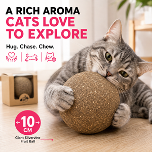 Balle de jeu pour chat en argentier naturel, stimulant d'appétit et réducteur de stress pour la santé féline - Product Image 3
