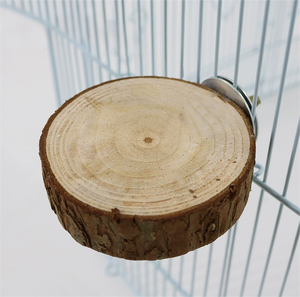 Talk-Satisfied 8mm Love <strong>Bird</strong> Stocked Foot <strong>Ring</strong> Flying Training Pigeon <strong>Leg</strong> <strong>Rings</strong> Eco-Friendly All Seasons - Product Image 5
