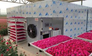 Hello River العلامة التجارية الصناعية مجفف الزهور معدات تجفيف المواد الزراعية لوتس أقحوان لافندر CE - Product Image 2