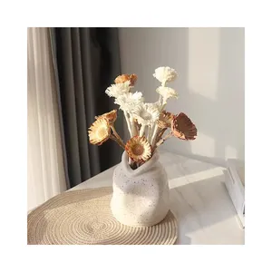 Toptan ithalat yüksek kaliteli korunmuş ağartılmış ayçiçeği kurutulmuş afrika ayçiçeği ev dekor için