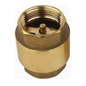 Válvula de Retención Vertical Manual de Bronce Industrial de 15 mm, Material de Sellado PTFE, Estructura de Alta Resistencia para Agua y Aire, OEM - Product Image 2