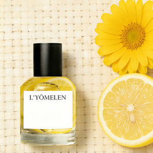 Perfume al por mayor de Francia con aceite esencial de pachulí, fragancia amaderada de larga duración, estilo Gen Z, spray de perfume personalizado. - Product Image 3