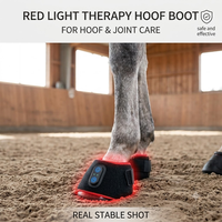 Botte de photothérapie équine professionnelle à lumière rouge 660nm 850nm, enveloppement de thérapie infrarouge pour le soulagement de la douleur au sabot du cheval