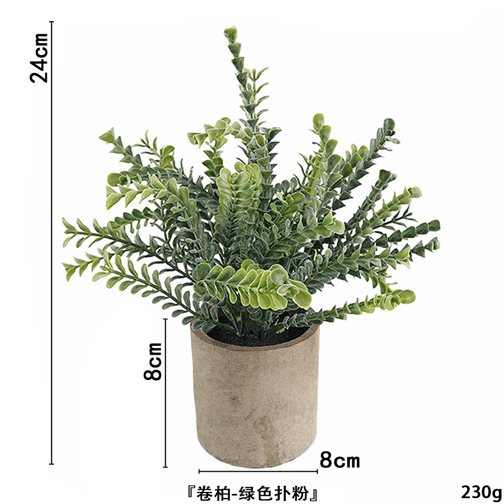 Poudre d'Austrocycad ahe369-066