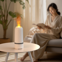 Humidificateur ultrasonique rechargeable à flamme colorée et lumière LED USB Portable 3D Fire Essential Oil Aroma Diffuser