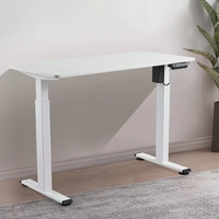 Fabricante profesional, mesa inteligente, motor único, eléctrico, ergonómico, de pie, escritorio de altura ajustable