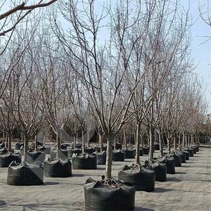 HOKBG Sacchi per <span class=keywords><strong>Piante</strong></span> in Tessuto PP Anti-UV <span class=keywords><strong>da</strong></span> 400 Litri, Resistenti e Traspiranti, per la Coltivazione <span class=keywords><strong>di</strong></span> Fiori e Alberi <span class=keywords><strong>da</strong></span> <span class=keywords><strong>Frutto</strong></span> (Olive), Sacchi <span class=keywords><strong>da</strong></span> Vivaio a Forma <span class=keywords><strong>di</strong></span> Albero - Product Image 5