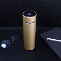Gourde isotherme électrique portable pas chère, ensemble cadeau de thermos à eau chaude