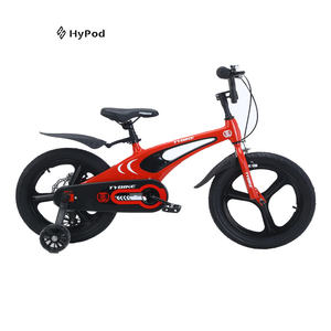 Dikke Band Kids Bike Nieuwe Stijl Kleine <span class=keywords><strong>Baby</strong></span> Model 12 14 16 18 20 Inch Cyclus Voor Meisje Jongen - Product Image 2