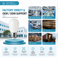 Ampoule LED à filament de verre ST45/ST14, CRI90, dimmable, 2W, culot E26/E27, température de couleur 2200K-6000K, certifiée CE, pour une utilisation multi-scènes