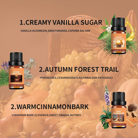 Ensemble d'huiles parfumées d'automne : Huile parfumée d'automne, Épices de citrouille, Cannelle, Cidre de pomme, Vanille, Sucre pour diffuseur, bougie, savon, bombe de bain, DIY