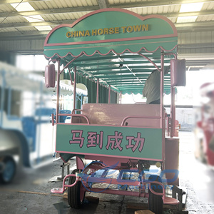รถม้าหลวงคุณภาพสูง ปี 2025 แบบลากม้าหรือแบบใช้ไฟฟ้าสองระบบ - Product Image 5