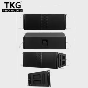 TKG M210 680w double haut-parleur de réseau linéaire professionnel audio passif de 10 pouces