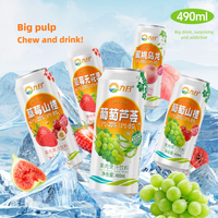 JUR Nieuwe Smaken Fabrikant OEM 490ml Grapefruit Sap Drank Gezond met Vruchtvlees Hoge Kwaliteit Gesteriliseerde Frisdranken