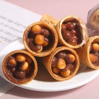 Biscuits en forme de cône croustillants au chocolat, saveur crème glacée, bonbons sucrés, collations décontractées, certifiés HALAL, personnalisables – Vente chaude